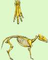 11.jpg - 98x122 - 24.91 kb
