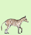 11_bis.jpg - 106x119 - 22.79 kb