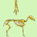 2.jpg - 129x128 - 26.44 kb