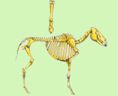 4.jpg - 166x135 - 29.22 kb