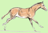 4_bis.jpg - 170x117 - 31.39 kb