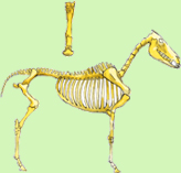 5.jpg - 164x157 - 35.08 kb
