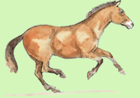5_bis.jpg - 204x143 - 40.13 kb