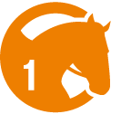 Cours équitation