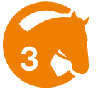 Cours équitation