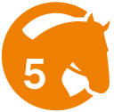 Cours équitation