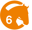 Cours équitation