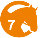Cours équitation